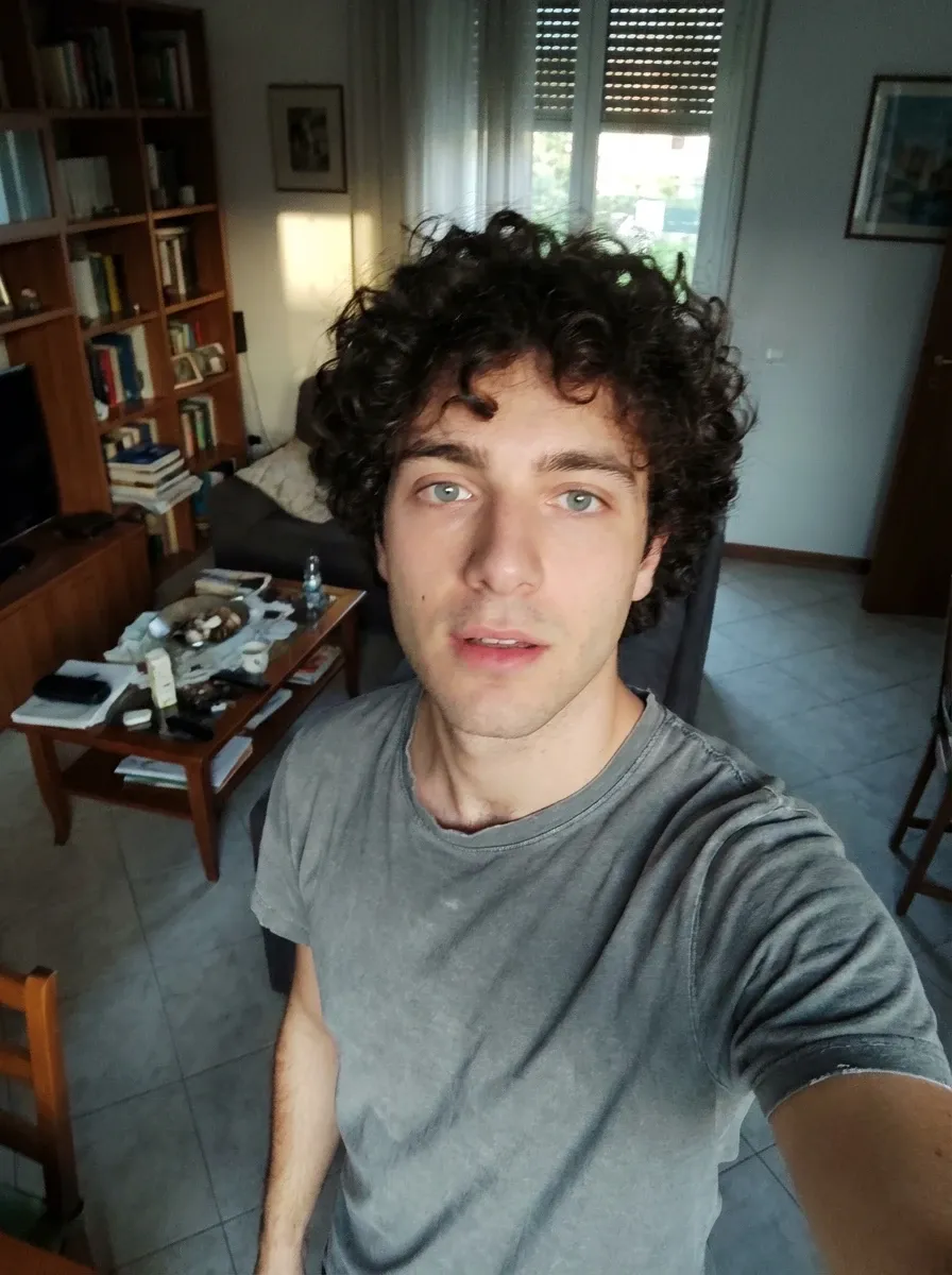 Original selfie input — curly-haired man in a gray T-shirt indoors